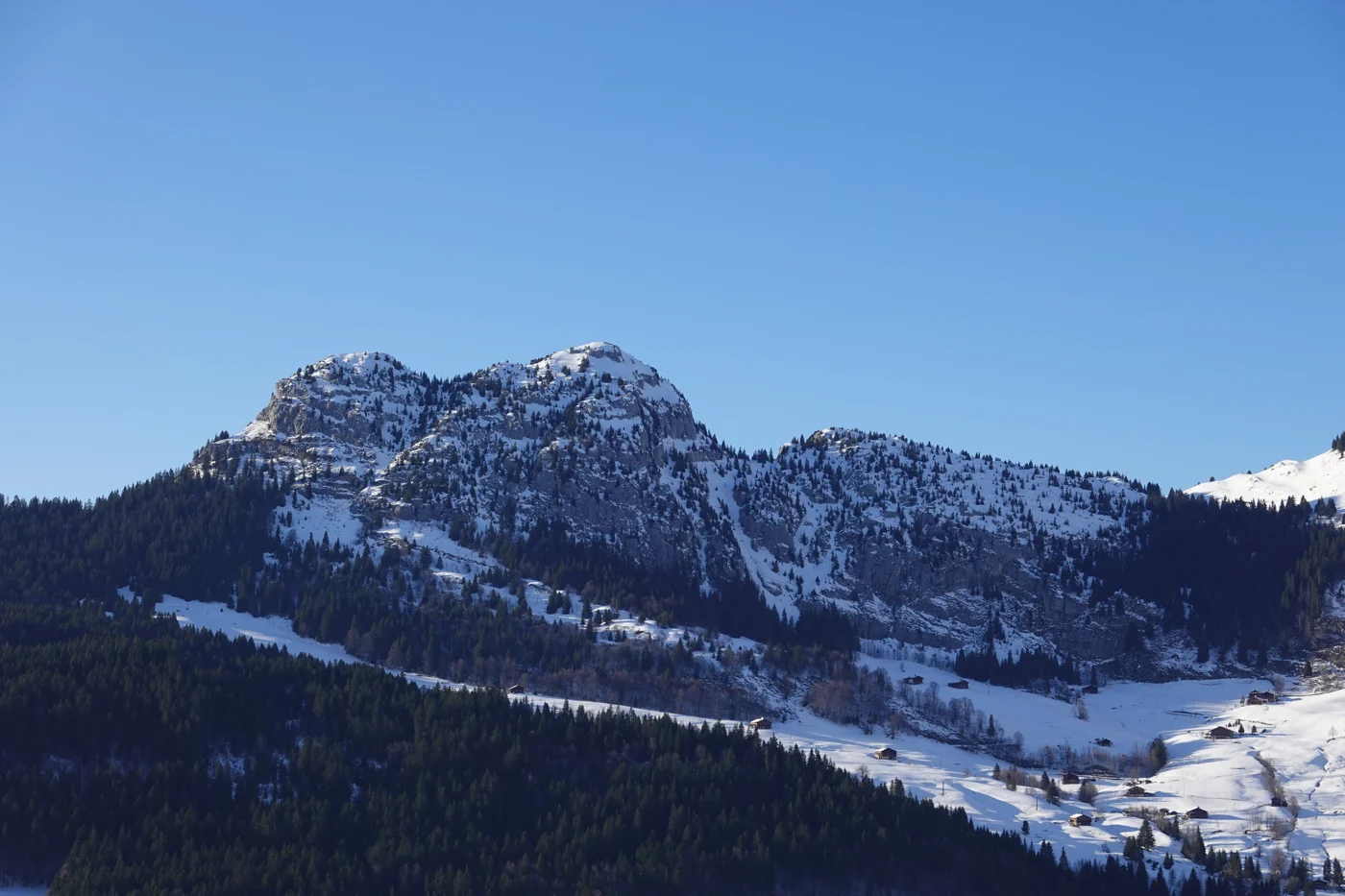 Reliefs enneigés et forêt vus depuis La Joyère, au Grand-Bornand.