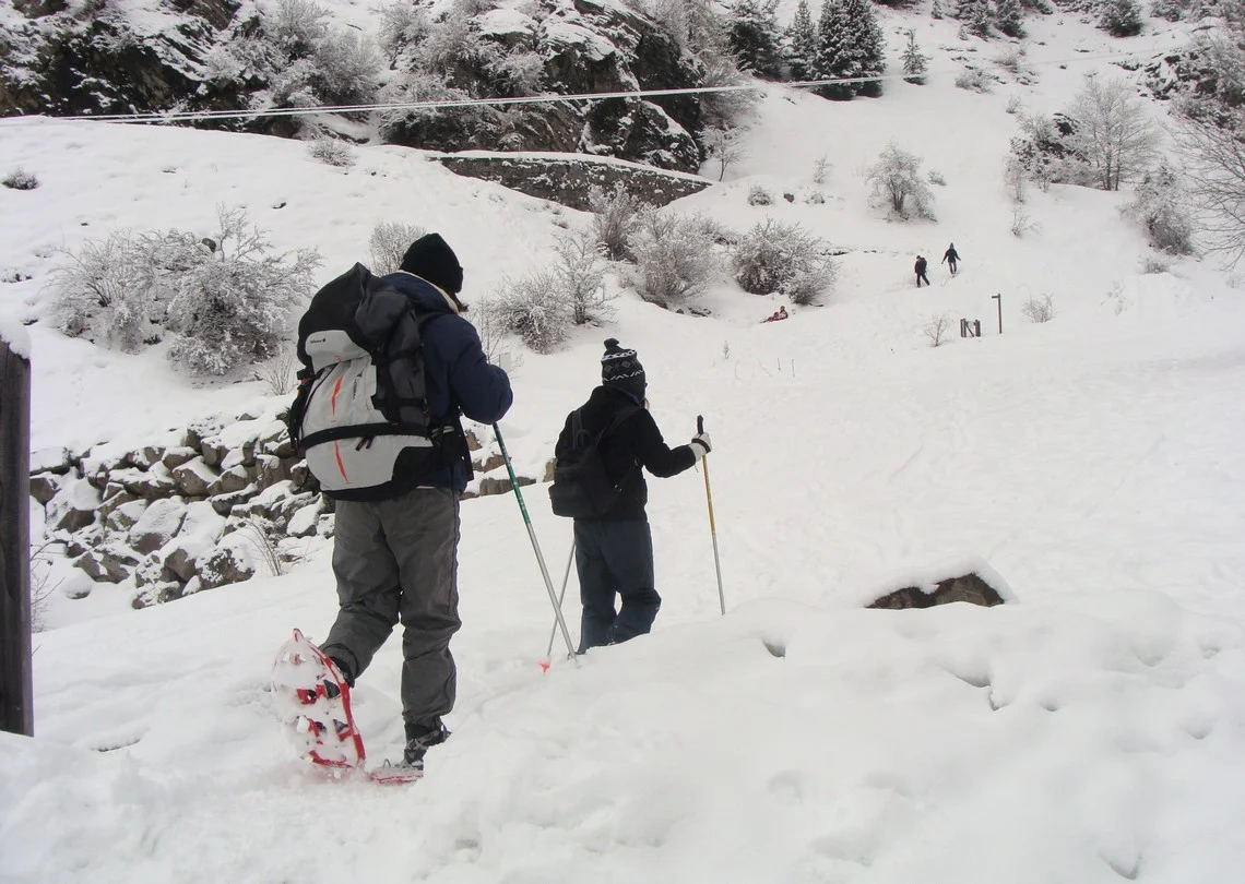 Des marcheurs en raquettes progressent sur un chemin enneigé près de Chaillol.